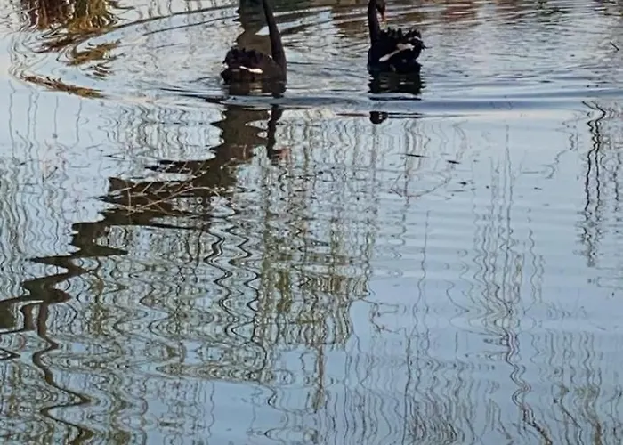 Cergallina Bauernhof Vernasca