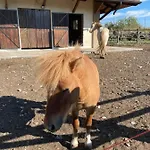Cergallina