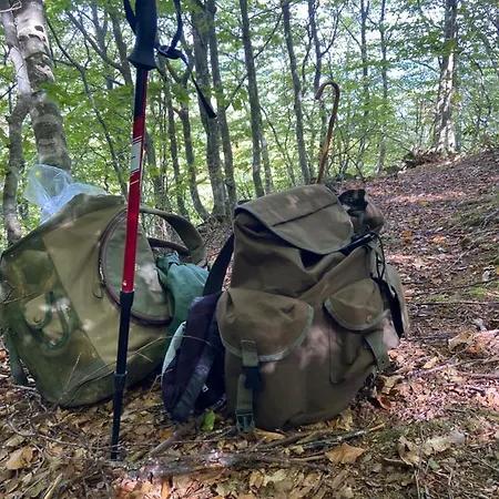 Cergallina Bauernhof Vernasca