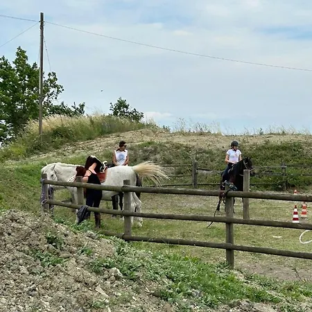 Cergallina ファームステイ