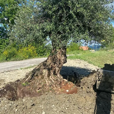 Séjour à la ferme Cergallina Vernasca