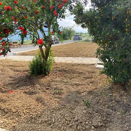 ファームステイ Cergallina Vernasca