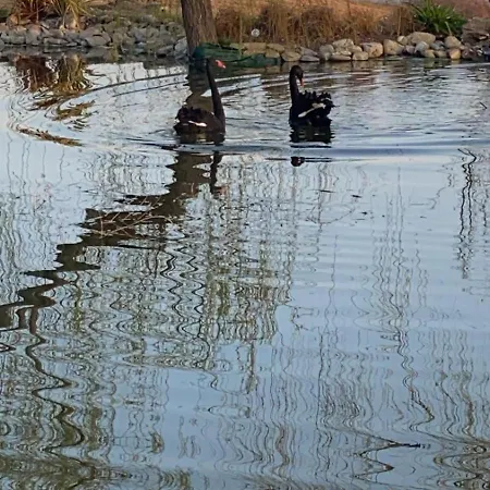 Cergallina Κατάλυμα σε φάρμα Vernasca
