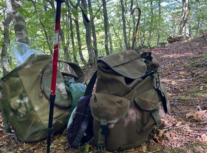 Cergallina Alojamento de Turismo Rural Vernasca