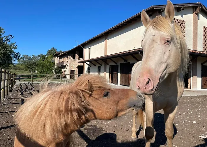Cergallina Séjour à la ferme