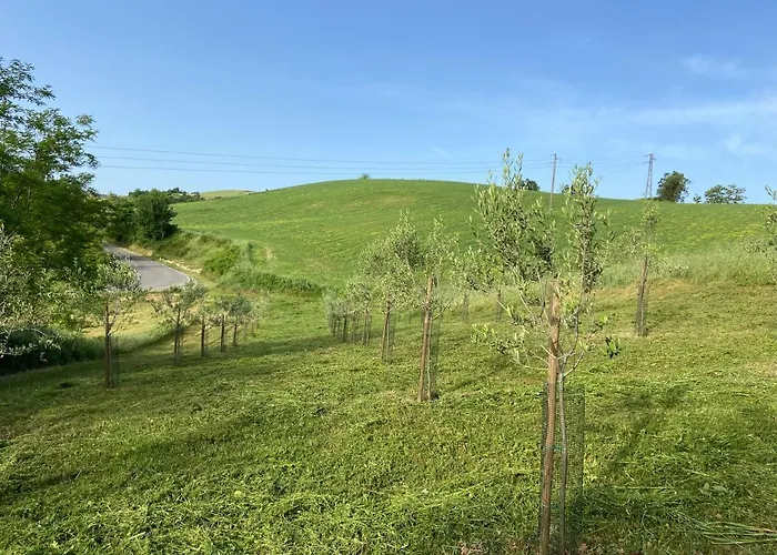 Cergallina Alojamento de Turismo Rural Vernasca