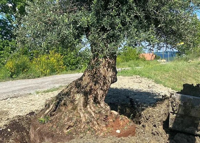 Séjour à la ferme Cergallina Vernasca